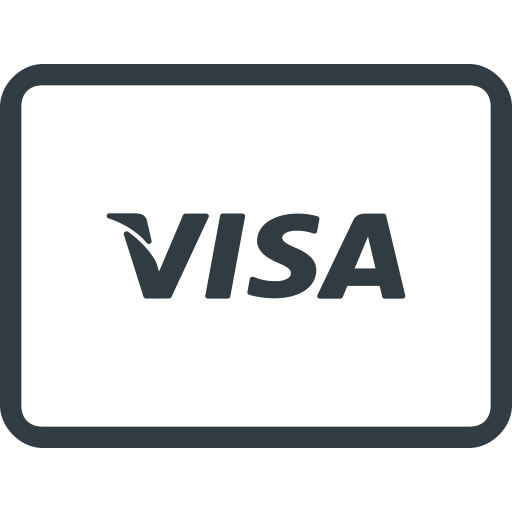 Brisk Invoicing akzeptiert Visa
